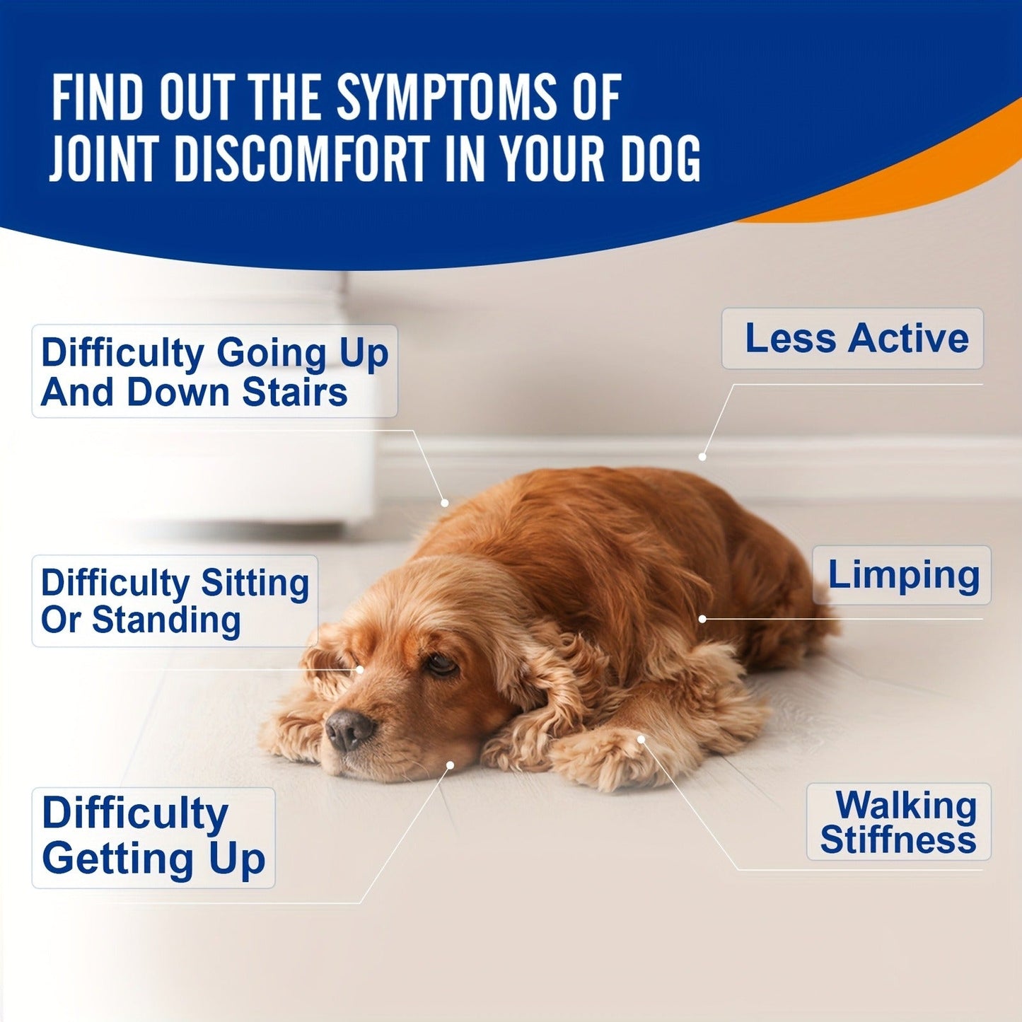 Dog Glucosamine Joint Supplement Chews 120ct | Chicken Flavor Soft Chews with Glucosamine, Chondroitin, MSM & Vitamins for Hip & Joint Health, Mobility Support for Dogs of All Sizes & Ages