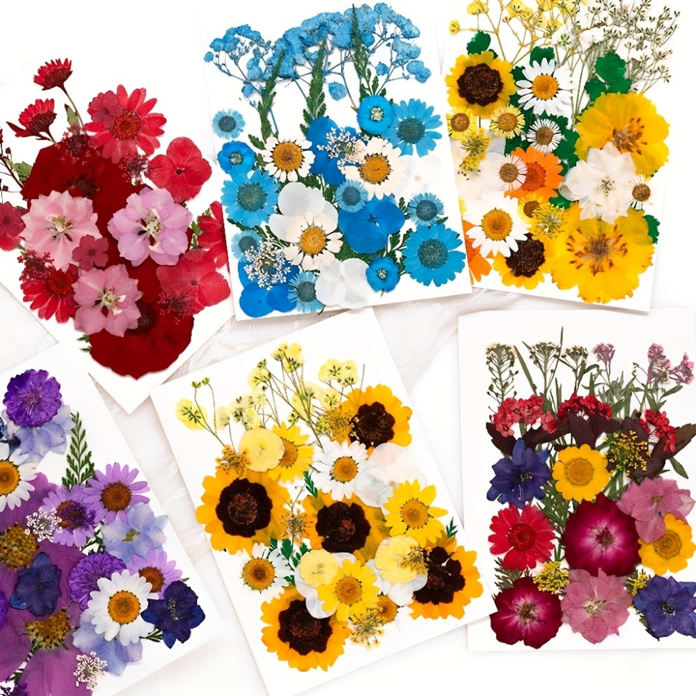 500-Piece Natural Dried Pressed Flower and Leaf Assortment for Resin, Scrapbooks, Cards and DIY Crafts