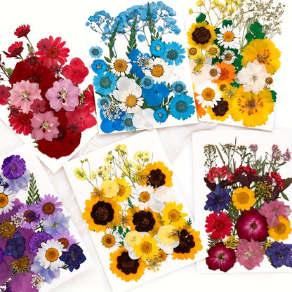 500-Piece Natural Dried Pressed Flower and Leaf Assortment for Resin, Scrapbooks, Cards and DIY Crafts