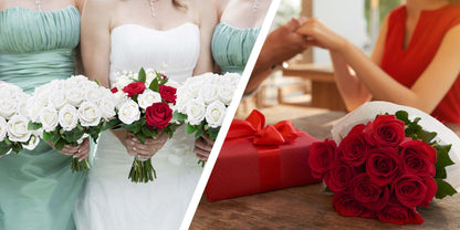 Artificial Flowers Long-Stem Velvet Rose Set in 50 or 100-Piece Variant Options across Five Colors