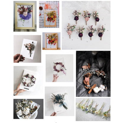 Dried Flowers 4 Boxes Mixed Colors - Natural Dried Floral Set for Candle Making, Resin Jewelry, Greeting Cards, Photo Frames, Scrapbooking & DIY Craft Decoration