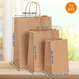 75pcs