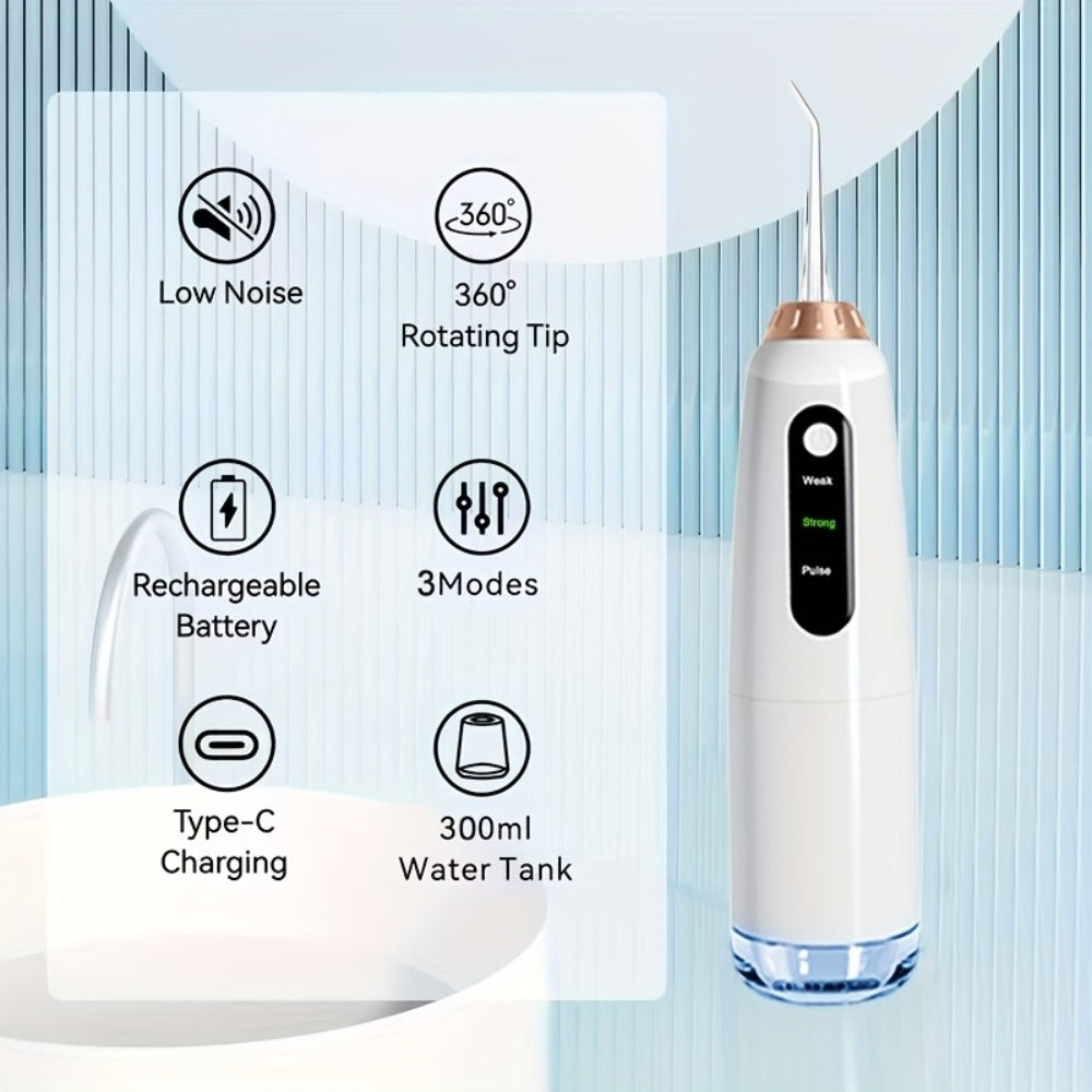 USB Rechargeable Electric Toothbrush and Water Flosser Set with Three Modes, Four Heads and Four Nozzles