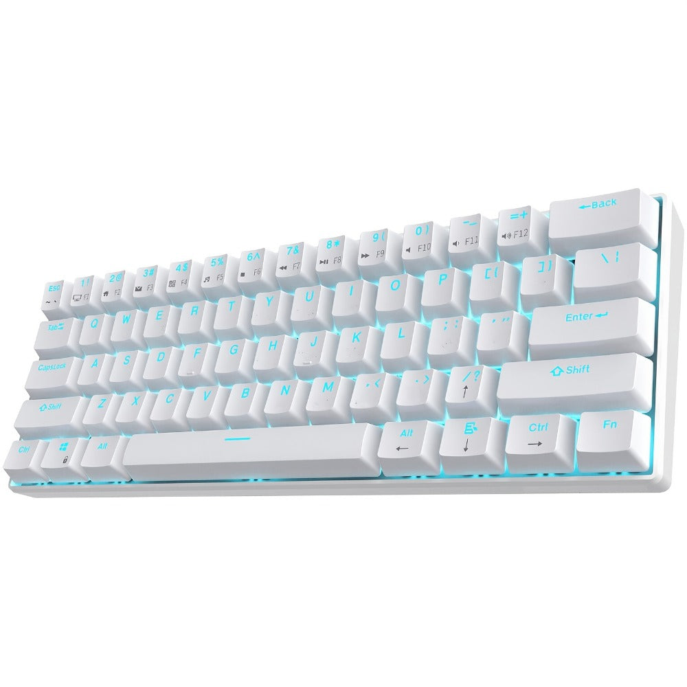 Hot-Swap 61-Key 60% RGB Mechanical Gaming Keyboard, Hot Swappable Red Blue Switch Compact Wired Keyboard with RGB Backlight, Portable Mini Keyboard for Windows PC Laptop Mac Gamers Typists