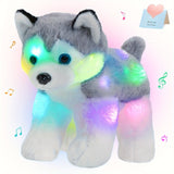 Luminous Music Husky