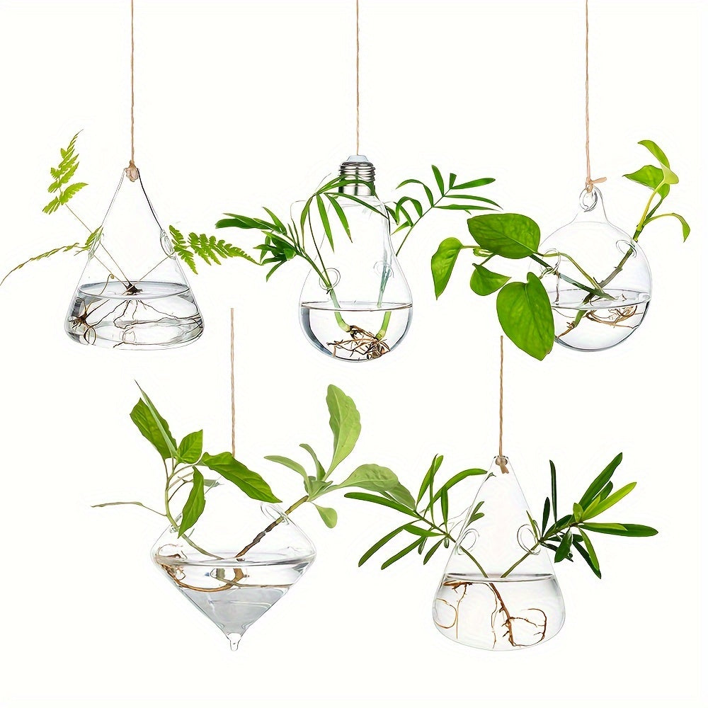 Five-Shape Clear Glass Hanging Terrarium Set with Rope Loops for Air Plants, Cuttings and Wall Display