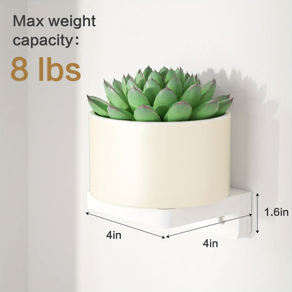 Eight-Piece 4-Inch Wall Shelf Set with Compact Square Ledges, Pure Black Finish and Mounting Hardware