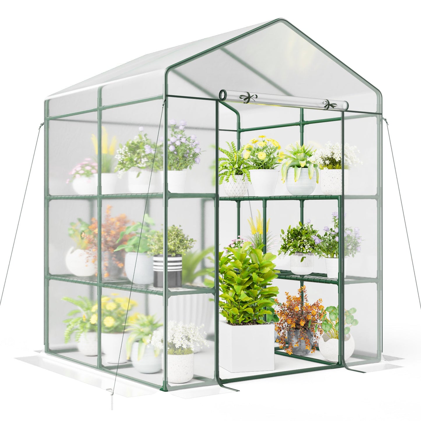 55 x 57 x 77-Inch Walk-In Greenhouse with Transparent Cover, Roll-Up Door and Eight Side Shelves