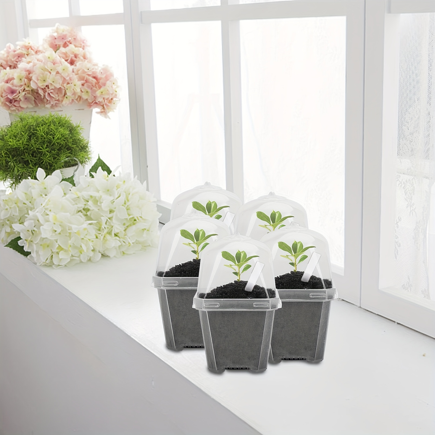 Clear Nursery Pot Set with Humidity Dome Lids, Vent Controls and Protected 30-Piece Checkout Label
