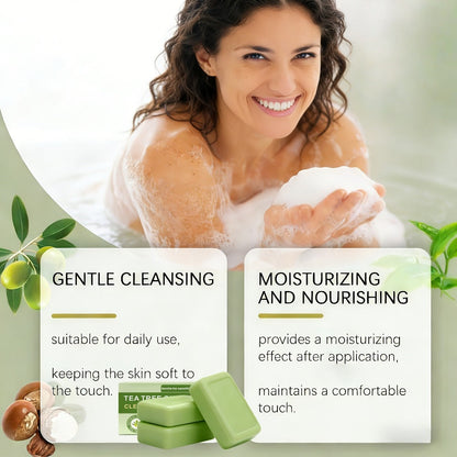 Tea Tree Bar Soap, Three-Pack of Green Plant-Essence-Labeled Bars for Face and Body Washing
