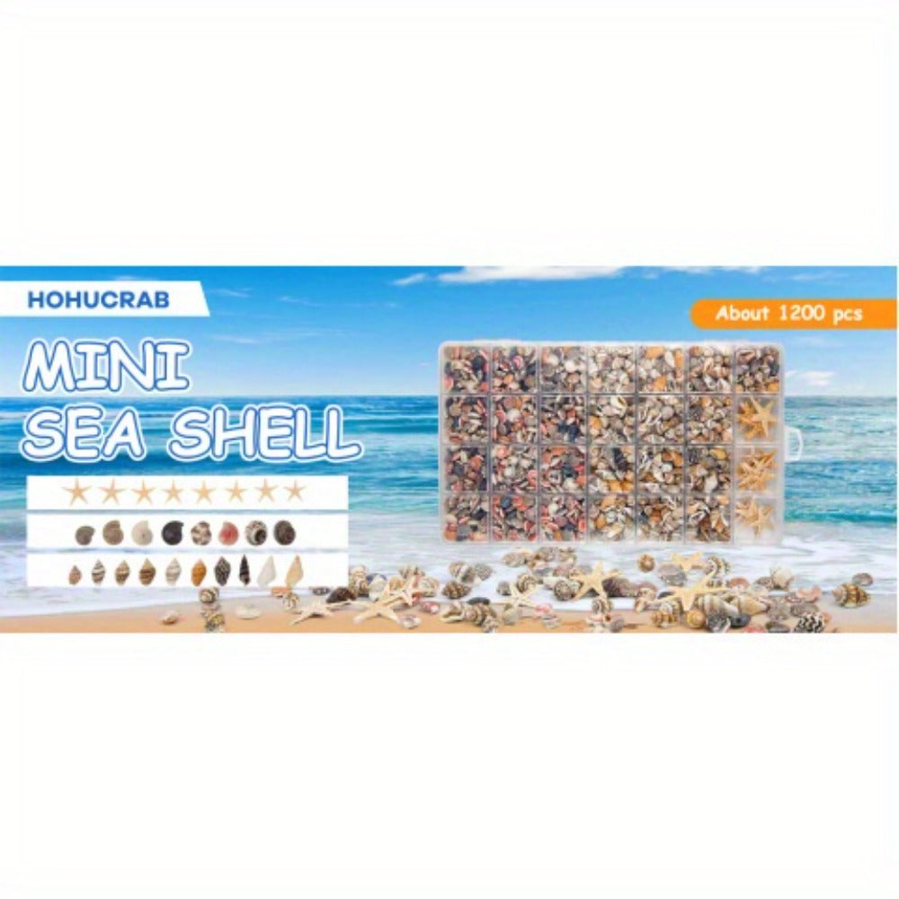 Tiny Seashells Starfish Bulk Set Beach Decor Crafts Vase Filler for Entryways, Bedrooms and Living Spaces