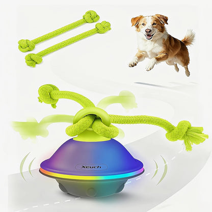 Dog Toy Motion-Activated Auto-Rolling Ball with Voice Recording, Rope and White or Gray Options