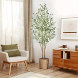 5ft( 936 leaves & 52 fruits)