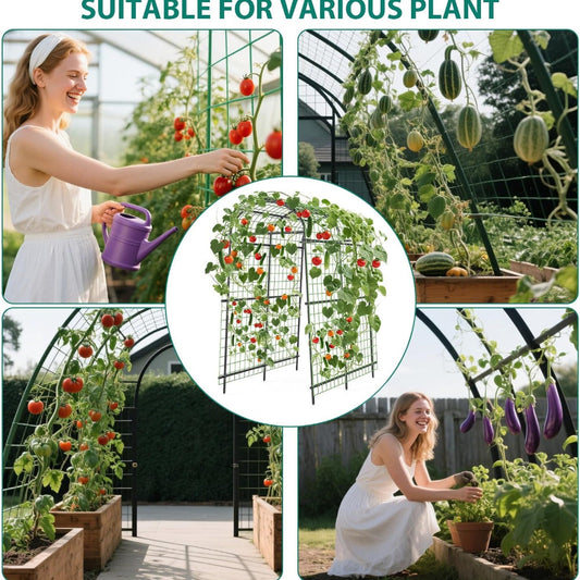 Steel Garden Trellis Arch 7ft PE-Coated Climbing Plants Vegetables