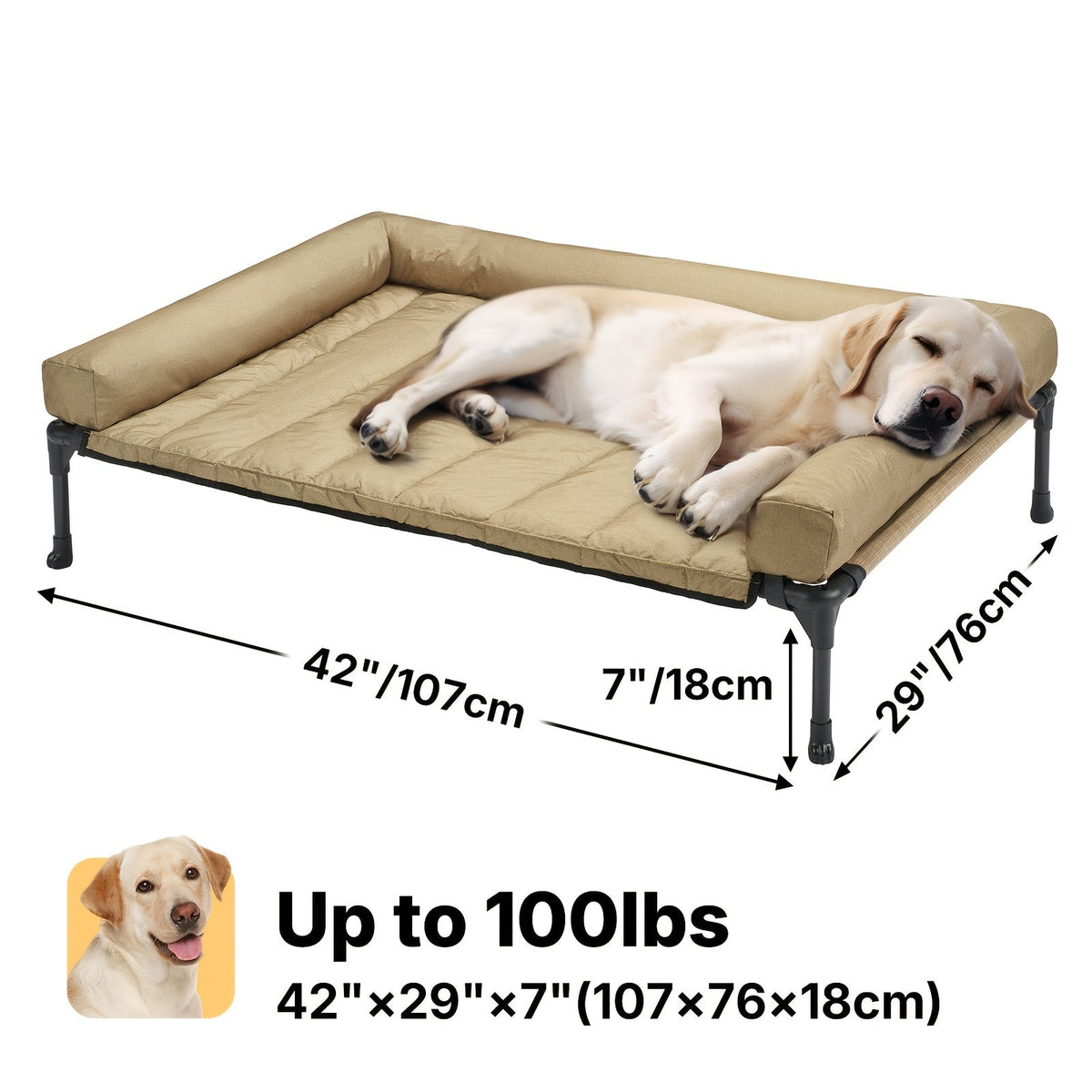 Elevated Dog Bed with Teslin Mesh Cot, Powder-Coated Steel Frame and Removable Bolster Top in Four Sizes