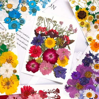 500-Piece Natural Dried Pressed Flower and Leaf Assortment for Resin, Scrapbooks, Cards and DIY Crafts