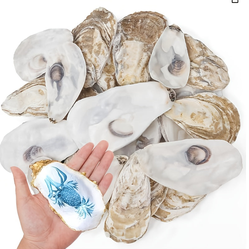 Natural Flat Oyster Shells for Crafts – 17pcs 3-5in Disk Shaped Sea Shells, Vase Filler, DIY Arts & Crafts, Christmas Ornaments, Home Decor, Beach Wedding Decoration