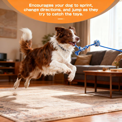 Dog Toy Telescopic Aluminum Flirt Pole with Reinforced Nylon Rope and Three Detachable Interactive Toys