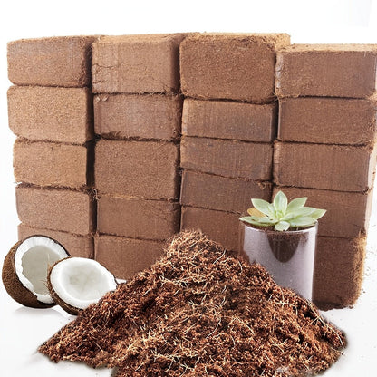 Compressed Coco Coir Growing-Medium Bricks in 3-, 12- or 24-Piece Protected Pack Options, 4 x 8-Inch Blocks