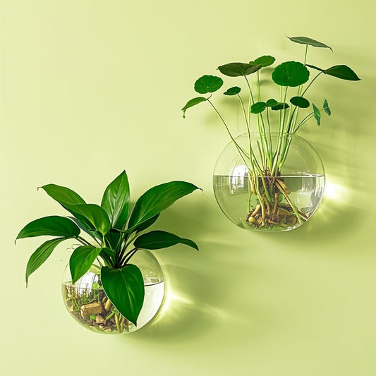 Wall Hanging Glass Terrarium Planter Oblate Flower Vase for Hydroponics Plants Bathroom Home Office Living Room Decor Set of 2/4/6