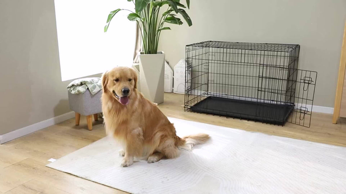 Folding Wire Dog Crate with Divider, Pull-Out Tray, Two Doors and Five Sizes from 24.41 to 48.4 Inches