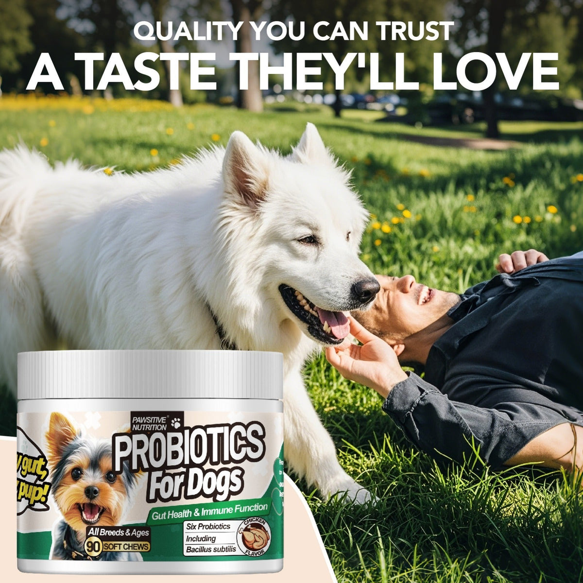 Dog Probiotic Soft Chews, Chicken Flavor, 90-Count Bottle with One- or Three-Bottle Checkout Options