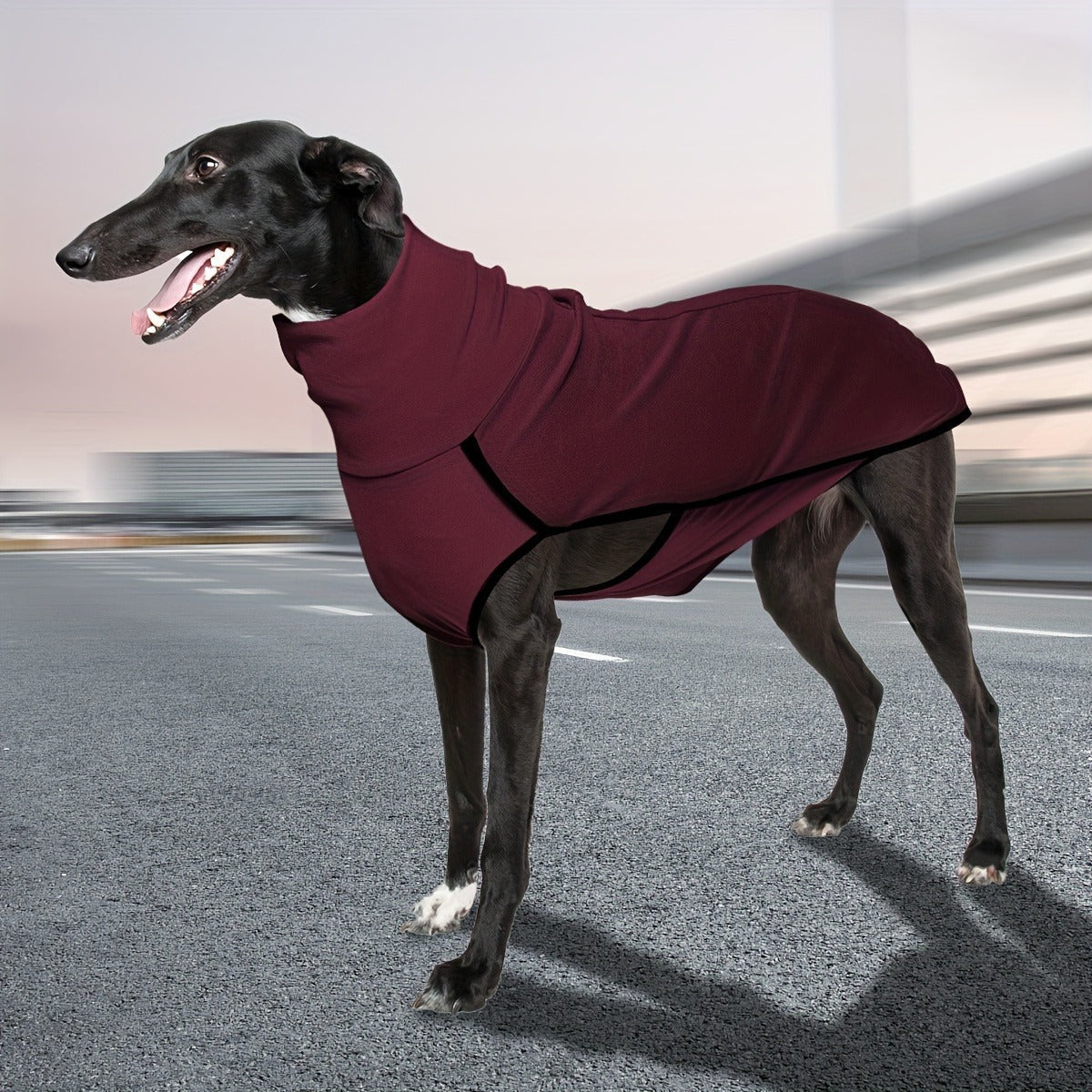 High-Neck Pullover Dog Coat in Burgundy, Navy or Fern Green with Selected XL Through 4XL Sizes