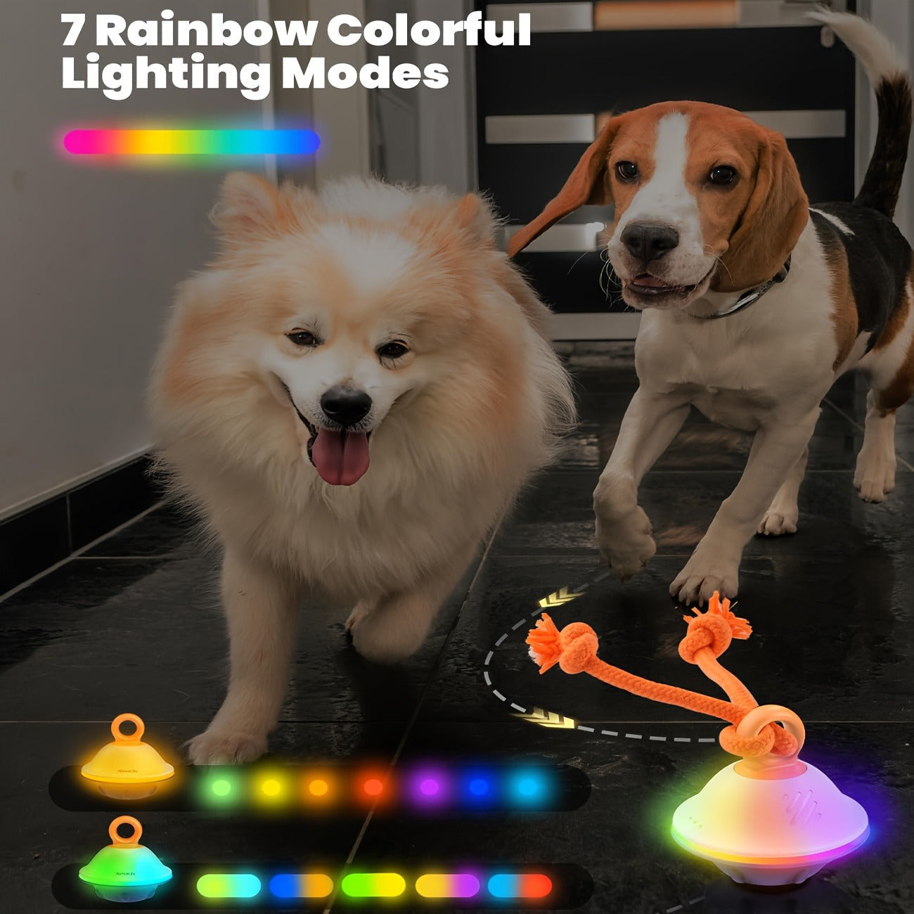 Dog Toy Motion-Activated Auto-Rolling Ball with Voice Recording, Rope and White or Gray Options