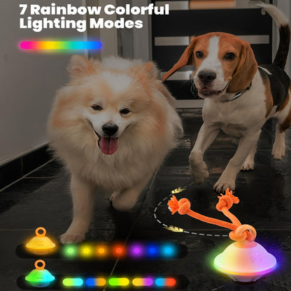 Dog Toy Motion-Activated Auto-Rolling Ball with Voice Recording, Rope and White or Gray Options