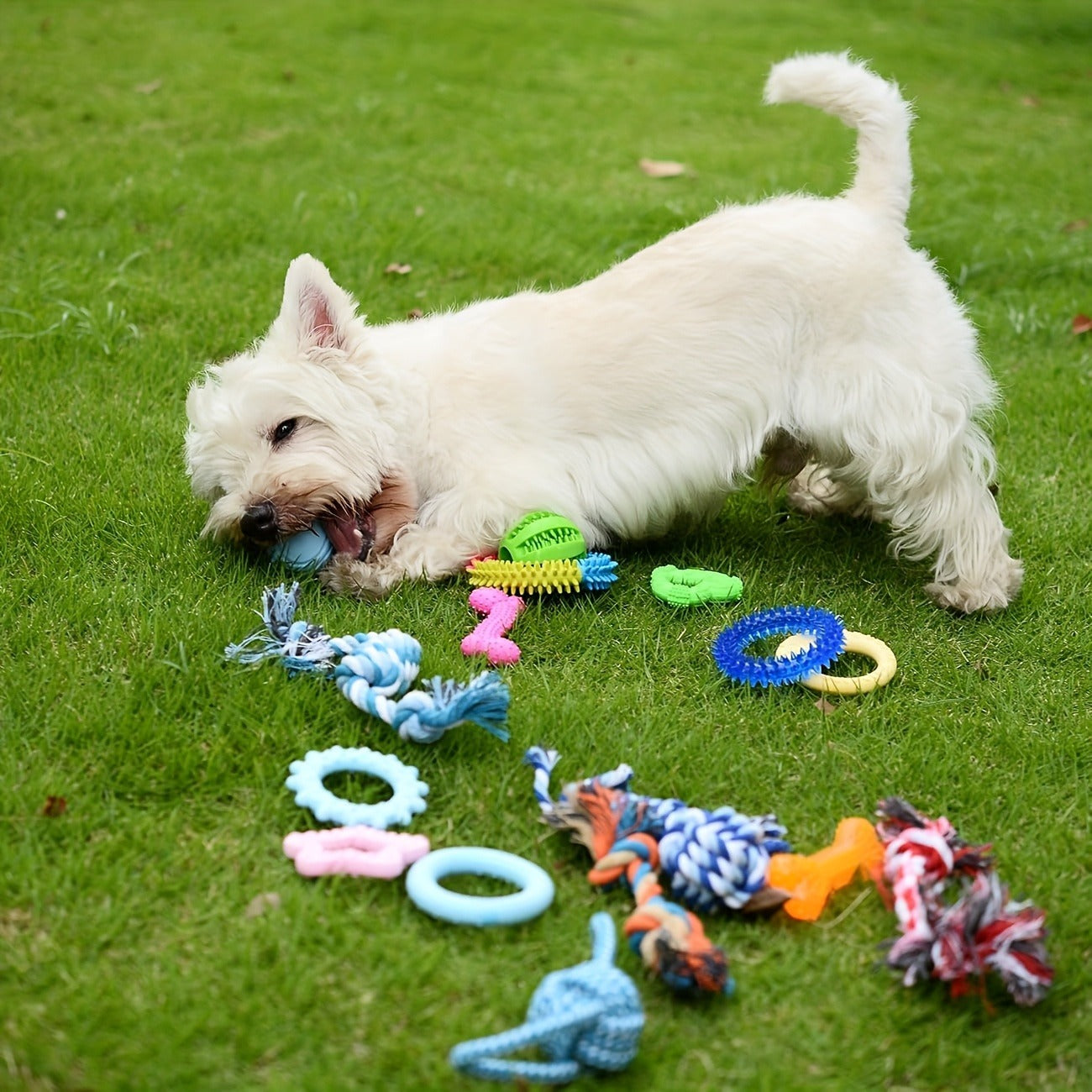 Dog Toy Pink Puppy Chew Bundle with Textured Toothbrush Shapes and Balls in Random 5 or 8 Pieces