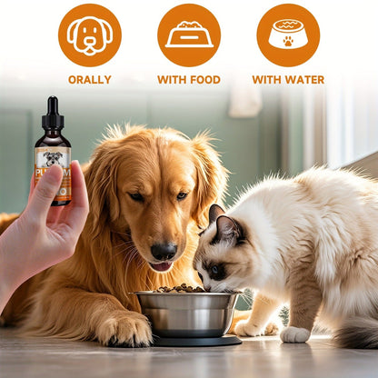 Pet Gut Wellness Drops with Black Walnut & Pumpkin Seed - Digestive Supplement for Dogs & Cats, Flora Balance, Intestinal Cleanliness & Overall Vitality, Natural Formula, 2 fl oz
