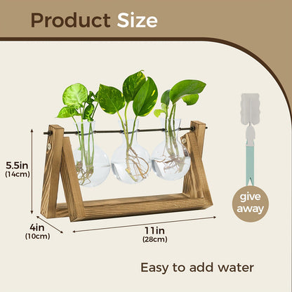 Heart-Shaped Glass Propagation Vase with Removable Bottle and 11-Inch Folding Wooden Display Stand