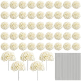 72pcs-Champagne