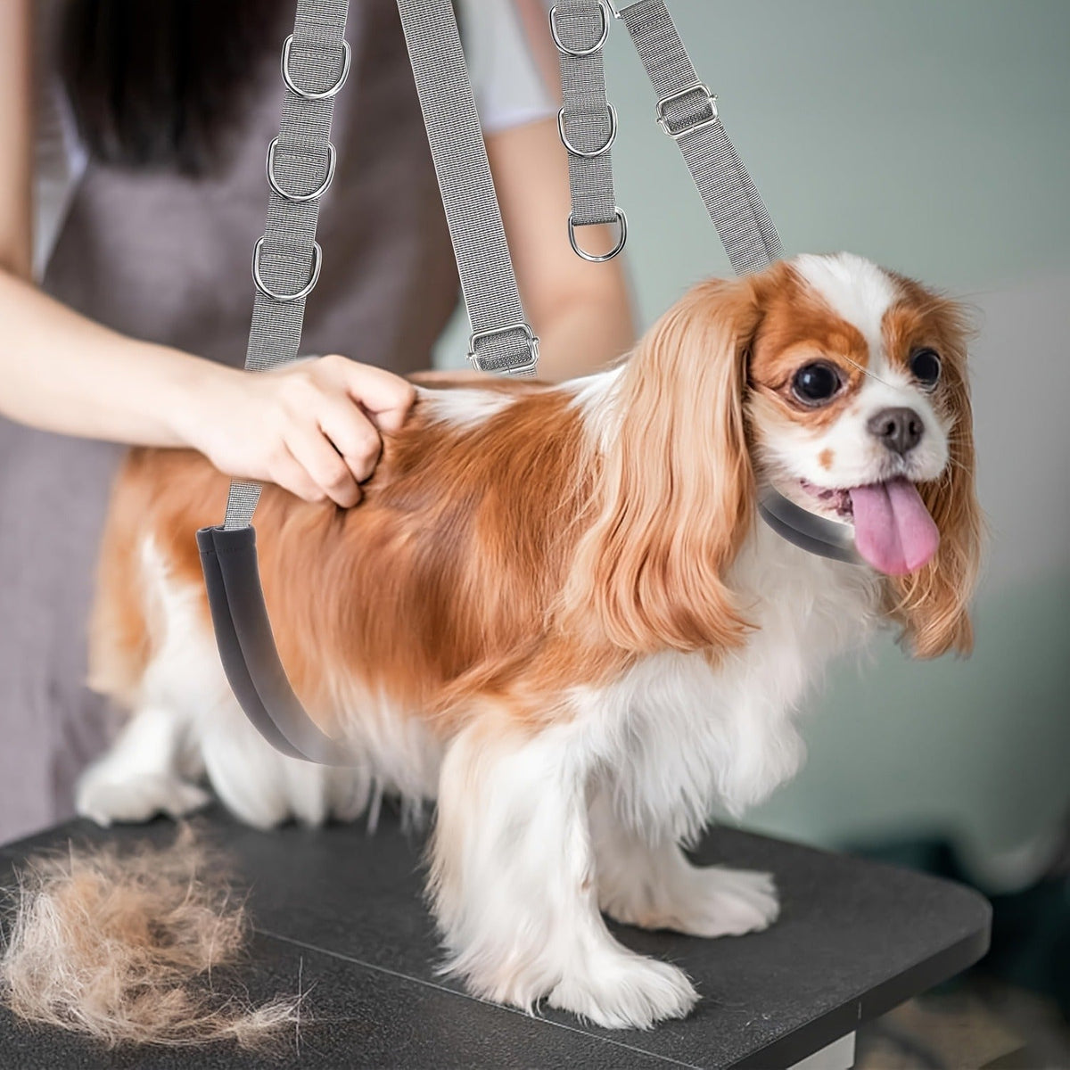 Dog Grooming Restraint Strap Set with Three Adjustable Grey Loops and Rotating Clips for Supported Use