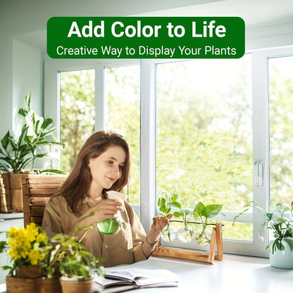 Three-Bulb Plant Propagation Station with Removable Glass Vases and 11-Inch Folding Wood Stand