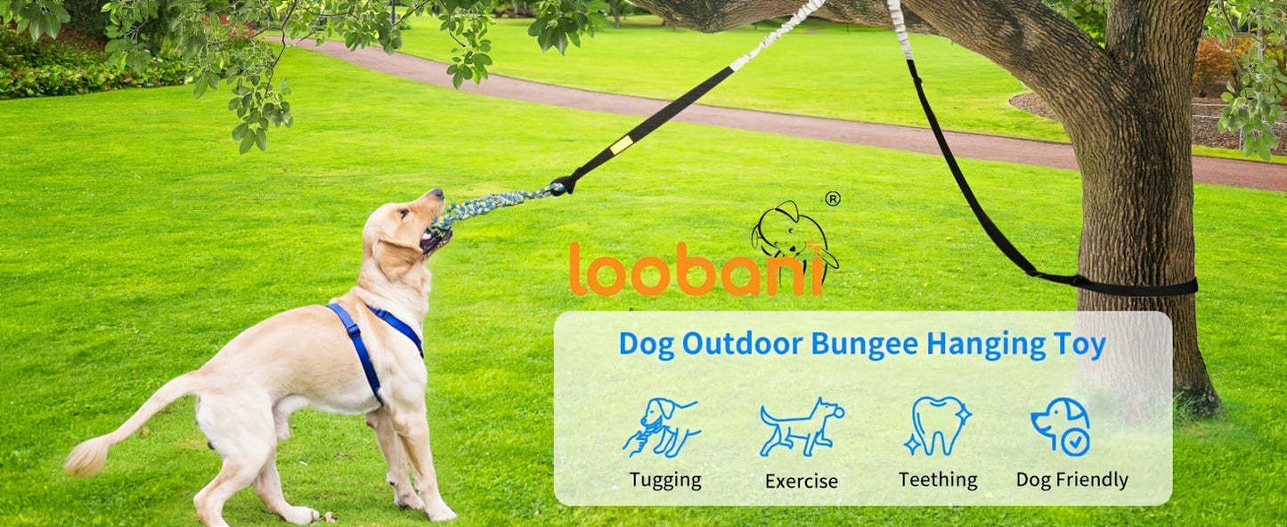 Dog Toy Outdoor Hanging Bungee Tug with Adjustable 19.7-Foot Elastic Cord, Soft Loop and Chew Rope