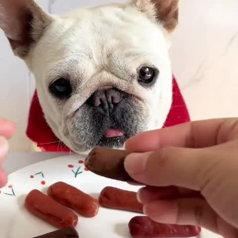 Dog Treats Duck Jerky, Chicken Pieces and Beef Sausage Assortment with Four Retained Flavor Options