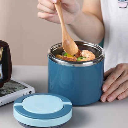 Stainless-Style Lunch Box with Handle in Green, Pink or Blue, 630 ml Single-Container Configuration