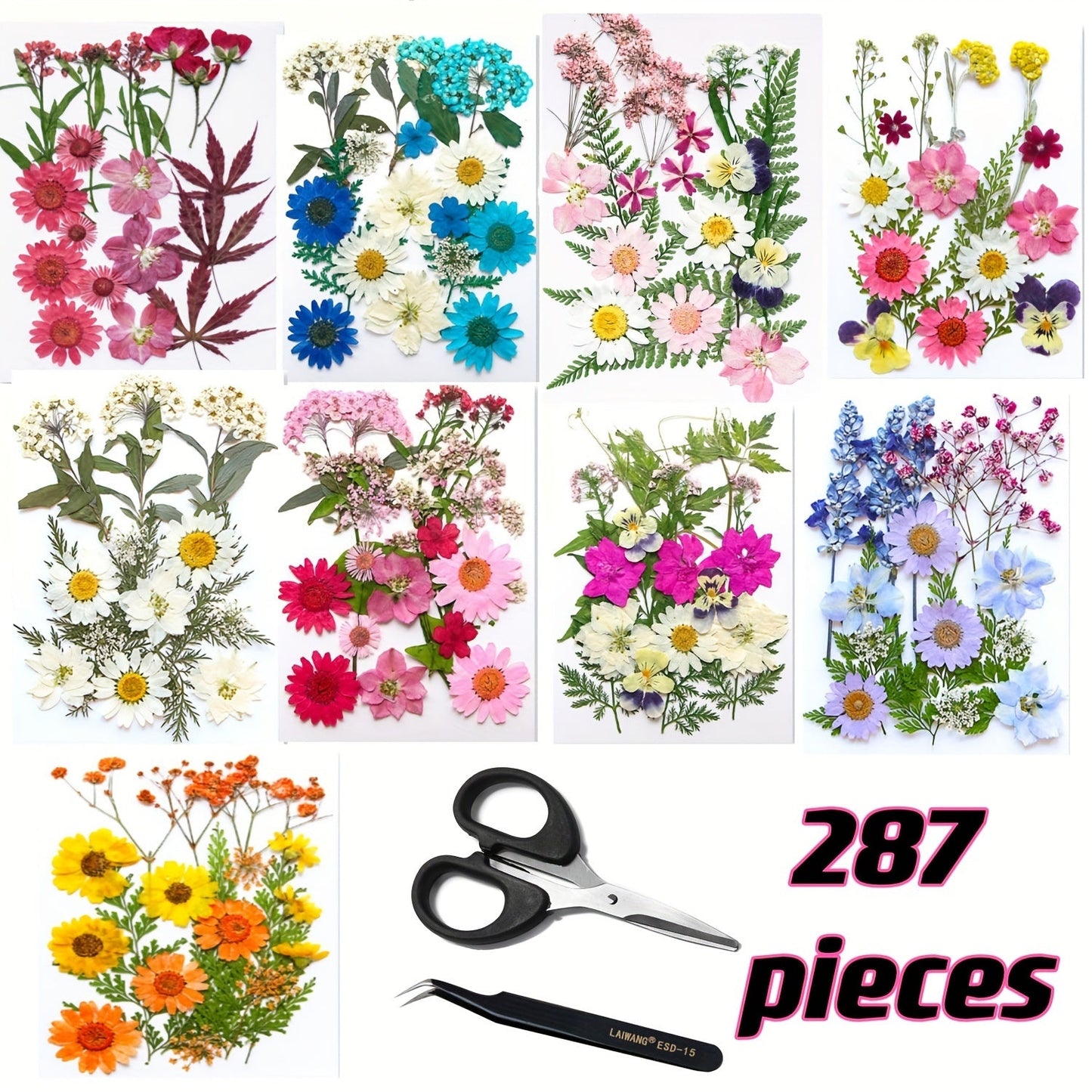 Pressed Flower Craft Set in 189, 238, 287 or 319-Piece Mixed Packs for Resin and Paper Projects