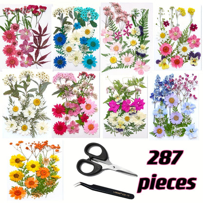 Pressed Flower Craft Set in 189, 238, 287 or 319-Piece Mixed Packs for Resin and Paper Projects