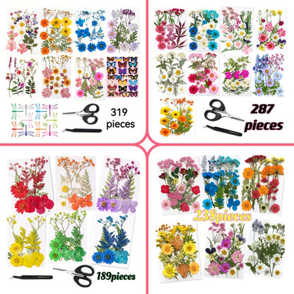 Pressed Flower Craft Set in 189, 238, 287 or 319-Piece Mixed Packs for Resin and Paper Projects