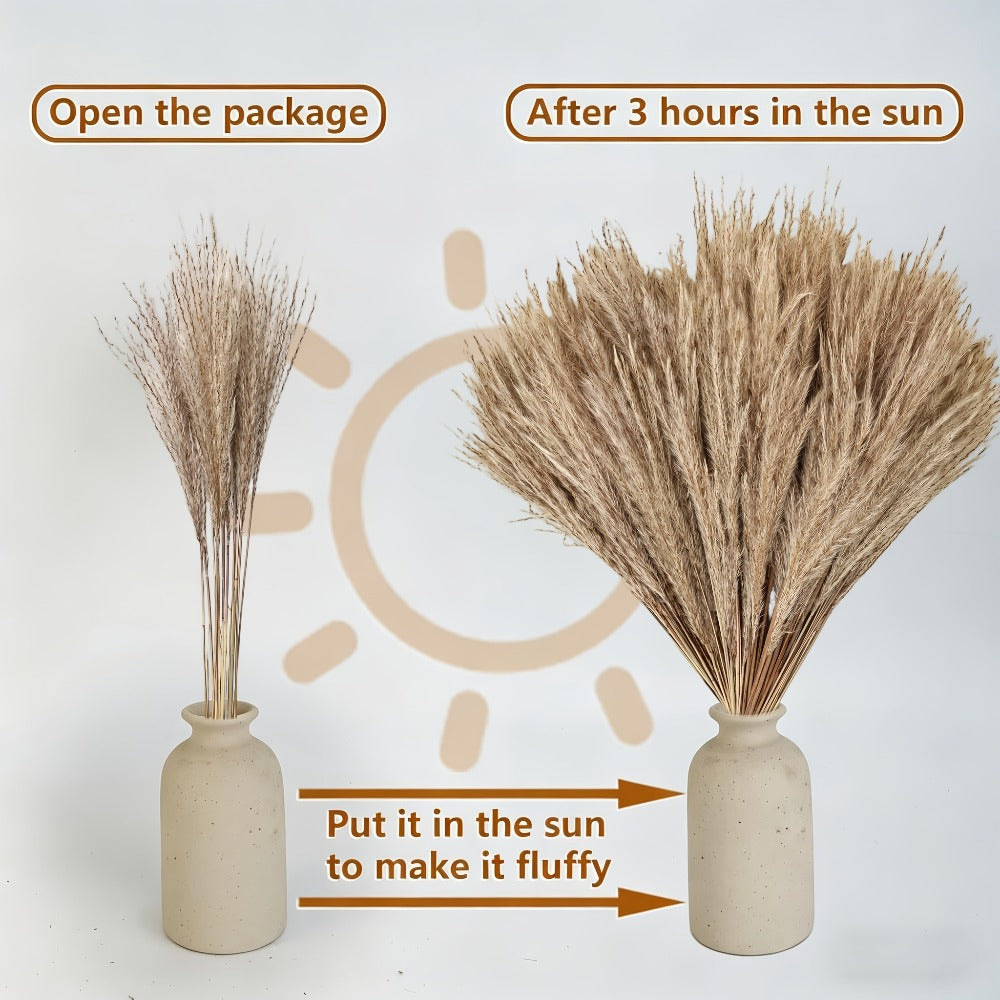 Dried Pampas Grass Decor Bouquet – Natural Fluffy Pampas Stems for Boho Wedding Centerpiece, Living Room Vase Filler, Nursery & Home Decor, Aesthetic Dried Flowers Arrangement, 110 or 300 Pcs