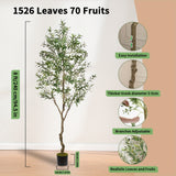 8FT/1Pack