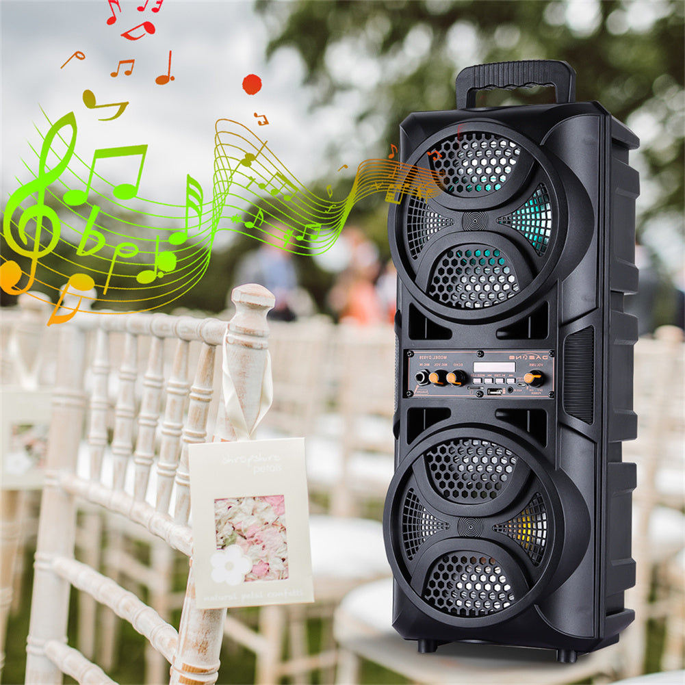 Bluetooth Speaker DAFENG Dual 6.5-Inch Karaoke Trolley with Wired Microphone, LED Lights, USB, TF and AUX