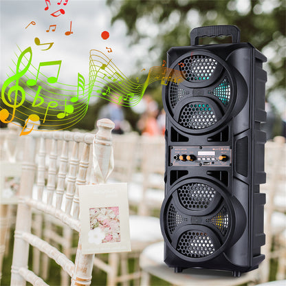 Bluetooth Speaker DAFENG Dual 6.5-Inch Karaoke Trolley with Wired Microphone, LED Lights, USB, TF and AUX