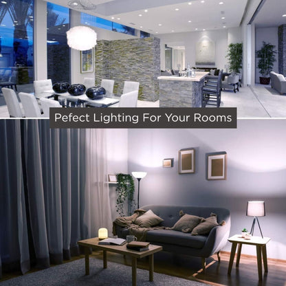 A19 LED Light Bulbs with E26 Base, 15W 1500-Lumen Rating and 5000K Daylight in 4-, 12- or 24-Pack Options