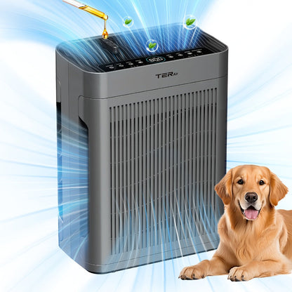 Air Purifier with H13 HEPA Filter, 2500 Sq Ft Coverage, PM2.5 Sensor, 22dB Mode and Two Colors