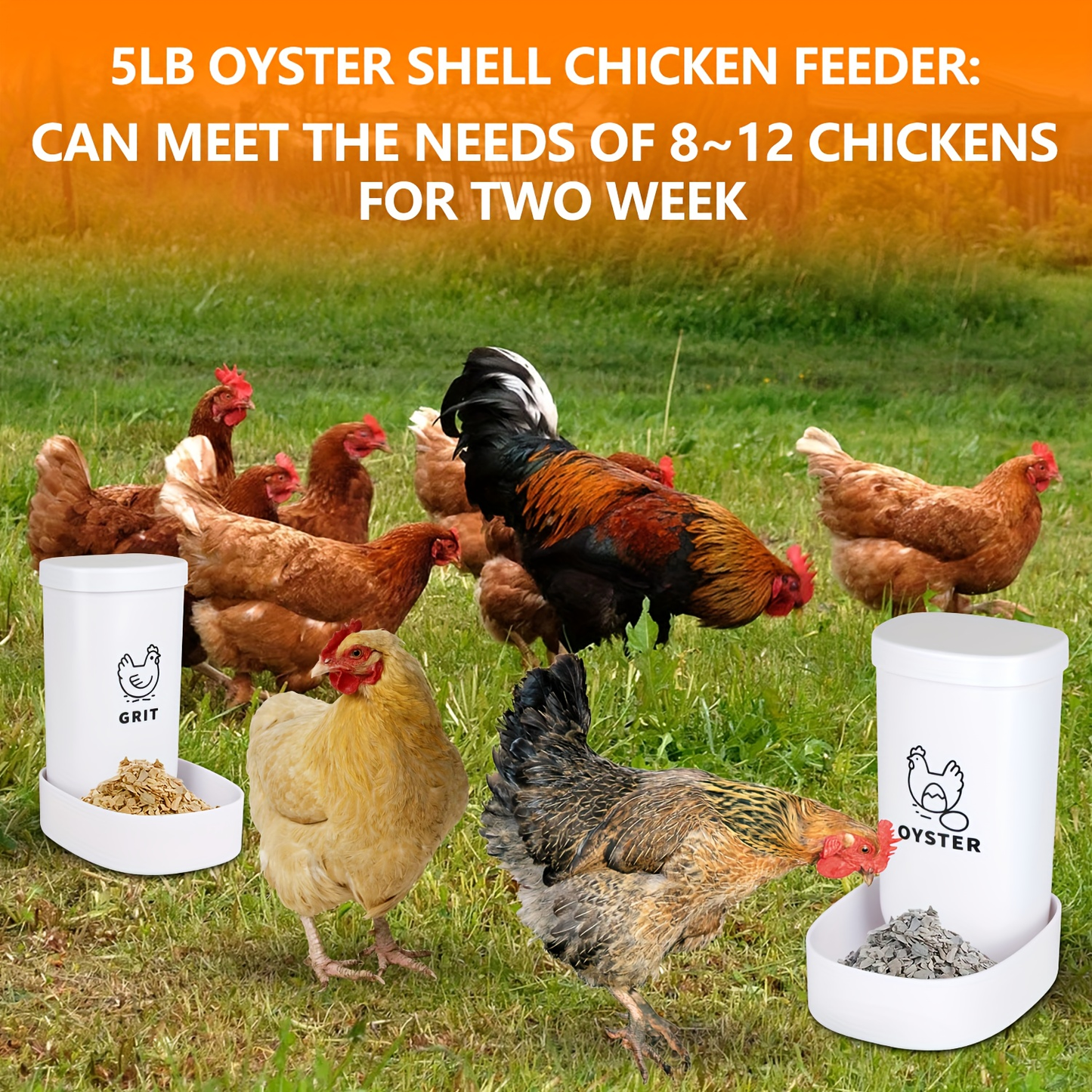 Two-Piece White Poultry Supplement Feeder Set with Separate Oyster Shell and Grit Containers