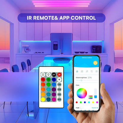 100ft or 200ft RGB LED Strip Light Kit with App, Handheld Remote, Timer, Dimming and Music Mode