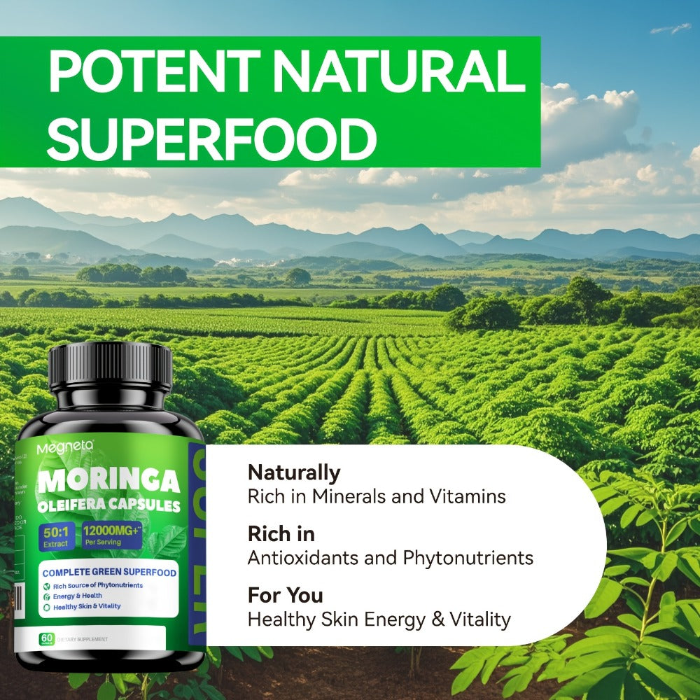 Herbal Supplements with Megneta Label, Moringa Oleifera 12000mg per Serving, 60 Capsules per Bottle